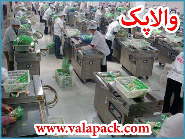 نمونه بسته بندی وکیوم